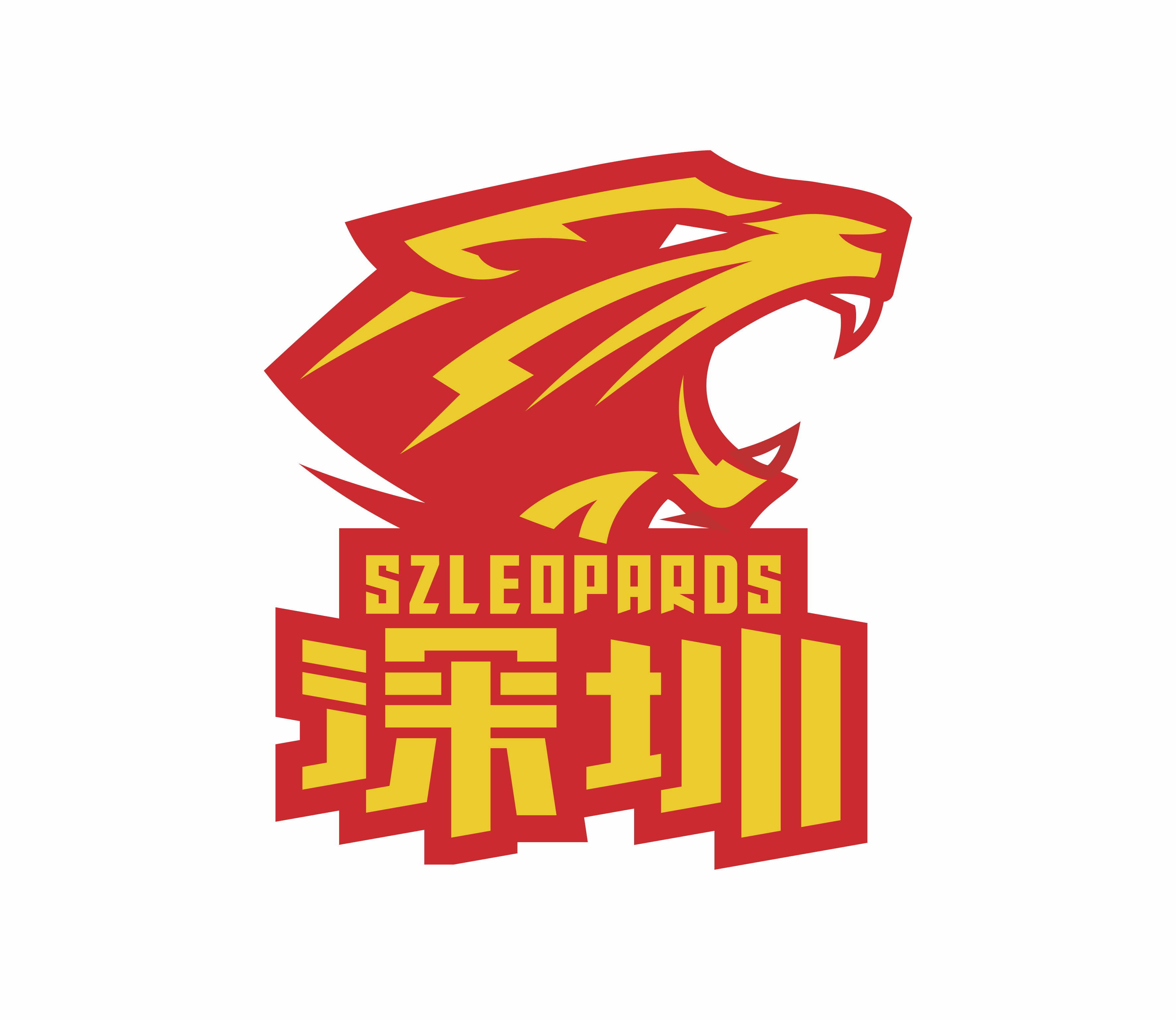 新世纪篮球